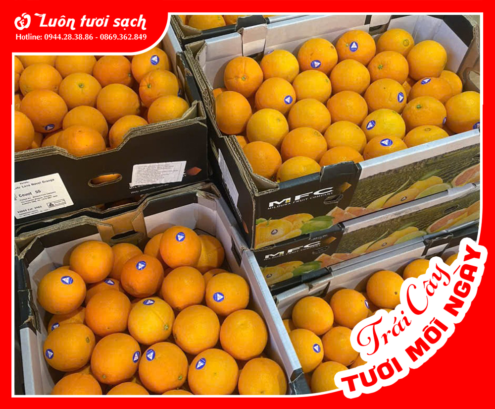 Cam Úc nguyên thùng 16kg